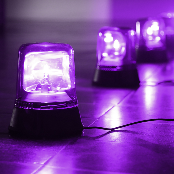 String of purple lights across the floor