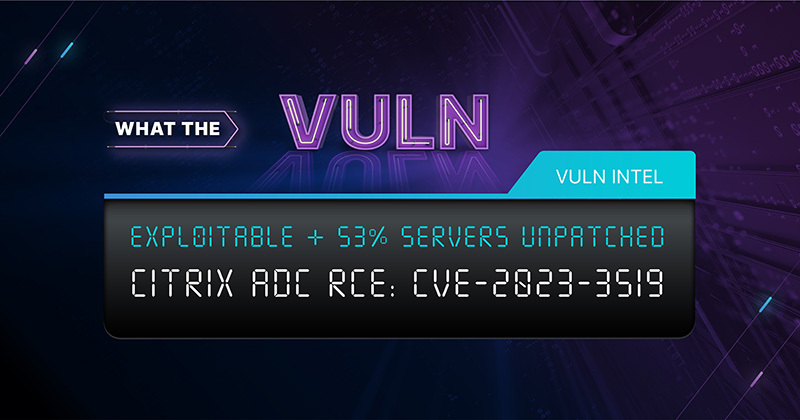 What the Vuln series: Citrix ADC RCE title and vulnerability intelligence tab
