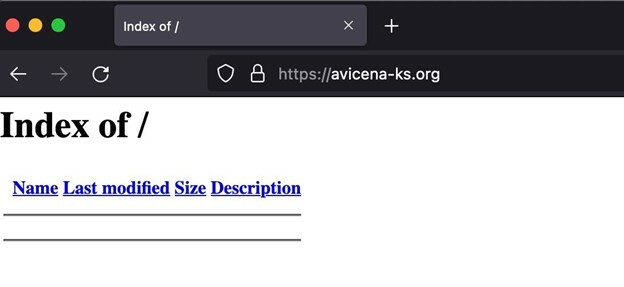 FIGURE 8 - Screenshot of updated Avicena infrastructure