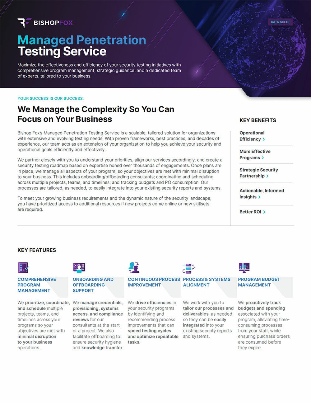 Thumbnail datasheet mamaged penetration testing