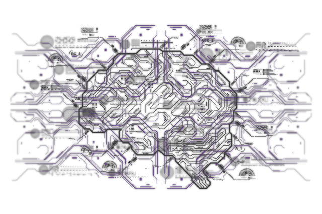 Illustration of different connection points within the brain