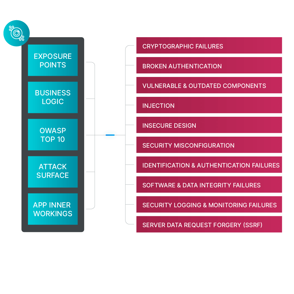 Red and teal table listing the range of vulnerabilities including the OWASP Top 10, exposure points, business logic, app inner working and attack surface.