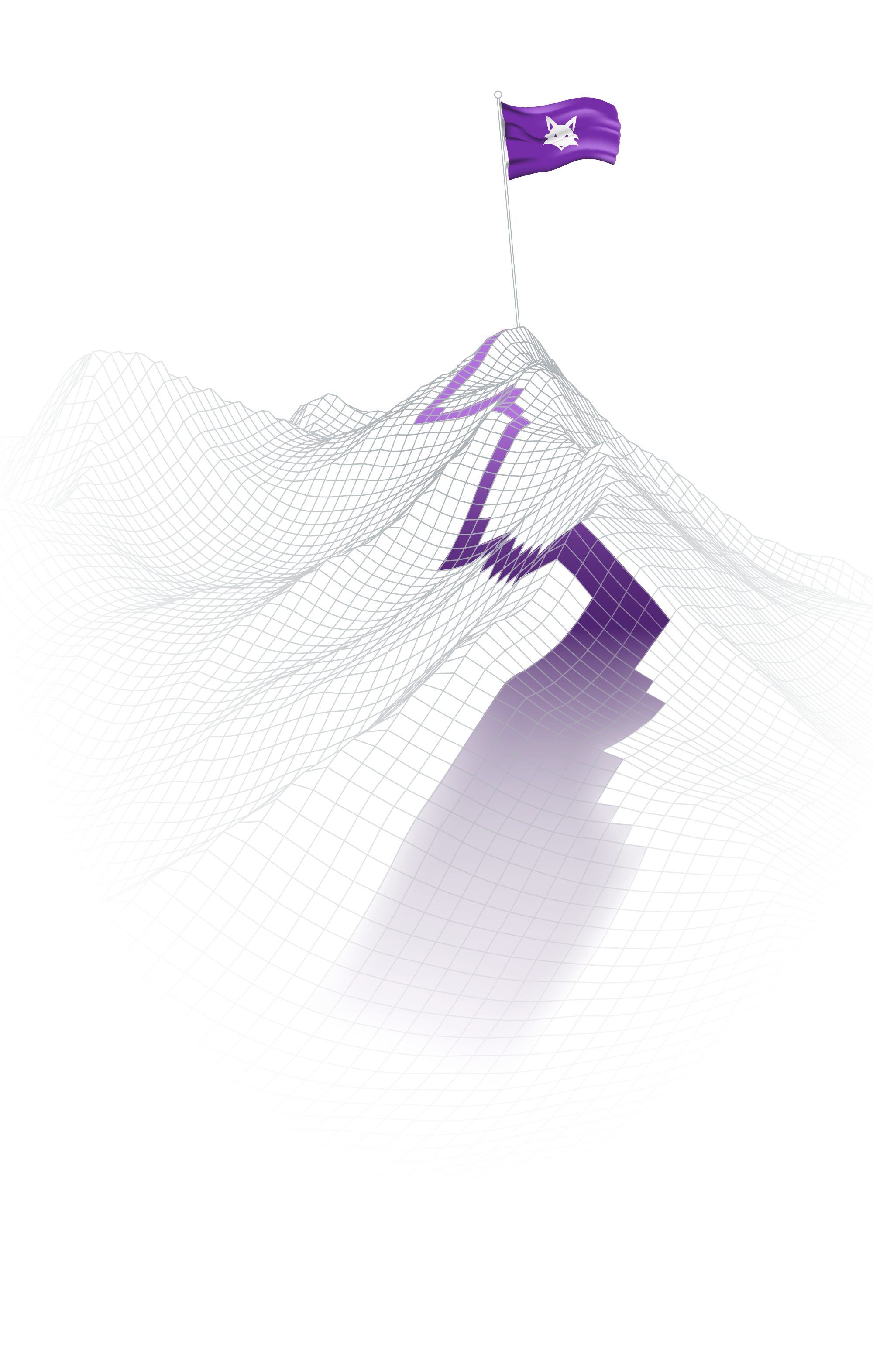 Capture the flag graphical representation with fox on purple flag planted at top of a meshed mountain.