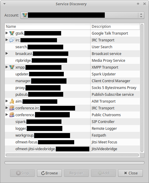 Screenshot showing the result of a service discovery request in Pidgin.