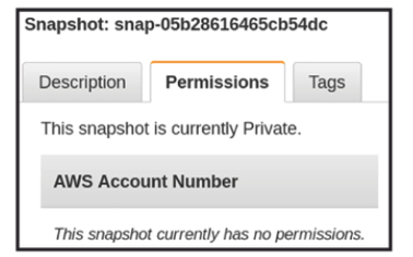 AWS snapshot private example