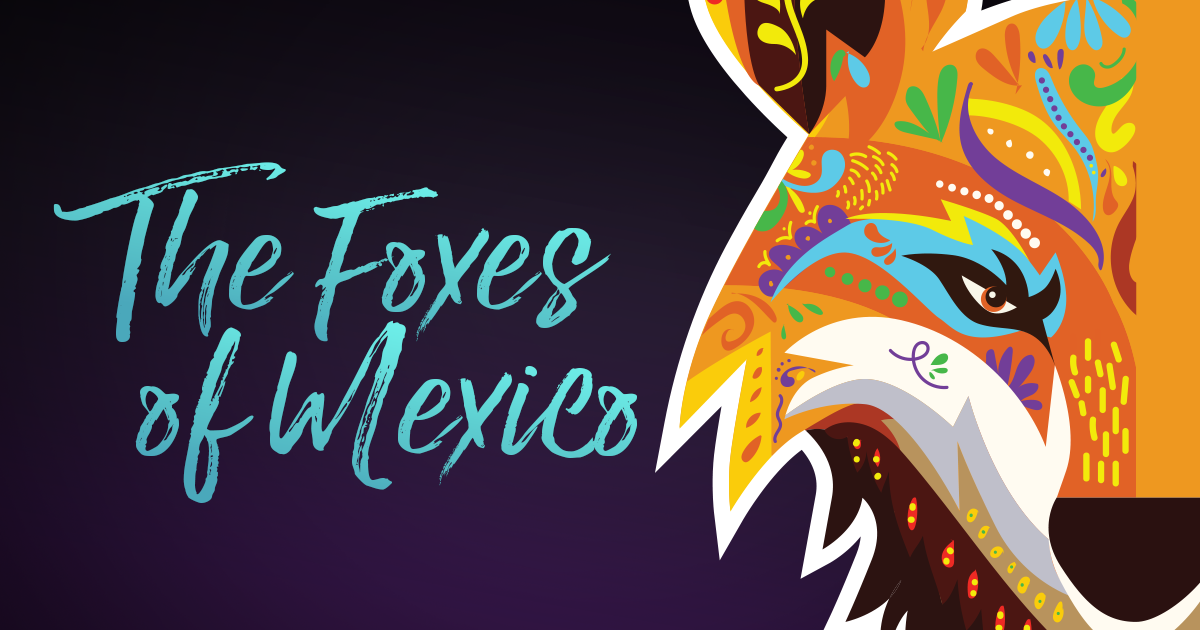 Illustration of a partial fox face with multi-color designs
