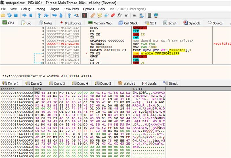 Payload in Memory Regions of Notepad.exe
