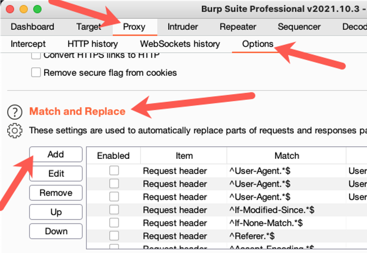Using Burp Suite Professional proxy's match and replace feature example