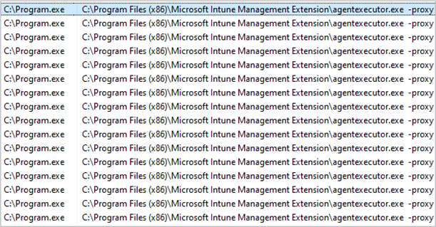 Task Manager entries for the Program.exe process