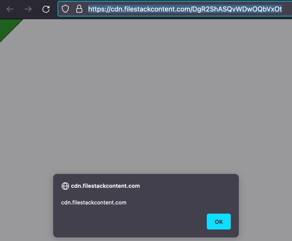 JavaScript alert box showing malicious JavaScript executed successfully.