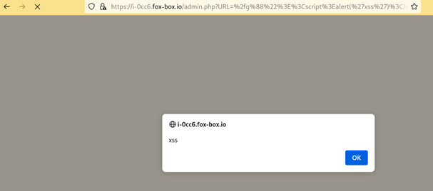 FIGURE 1 - JavaScript payload triggered when browsing to the malicious link