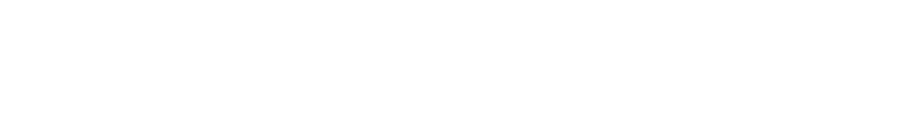 Canyon logo for internal penetration testing customer story.
