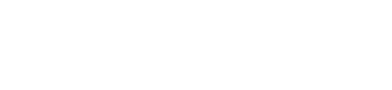 White Salesflare logo for penetration testing and security RFI evaluations case study.