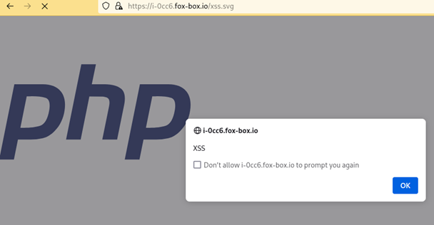 FIGURE 4 – JavaScript payload triggered when browsing to the image.