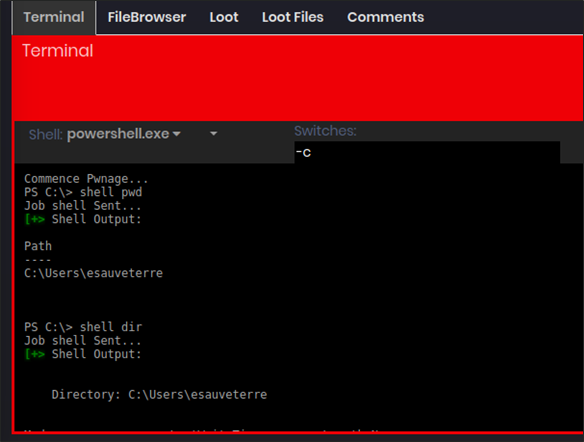 Remote terminal for post-exploitation activities screenshot.